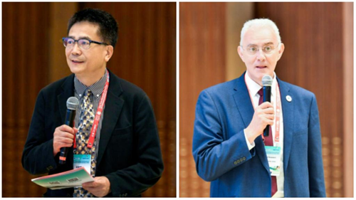 20250714731234.png 6B37C0C158AAB8A274FB7D578D1_C31D8625_F17A.png