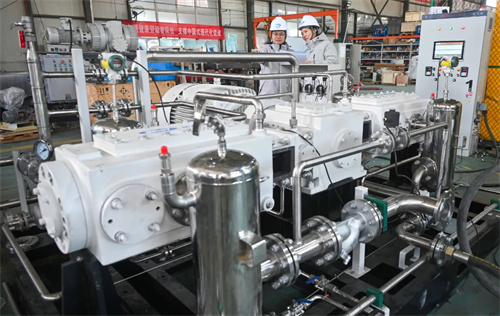 20260129634138.jpg d55bcc37-a8d9-44d4-a2e8-053abe4c5fba.jpg